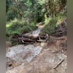 La pandemia rebasó el sistema de salud: Graue