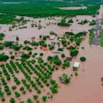 Un dominicano, entre las seis víctimas del ataque en un bar de Morelia
