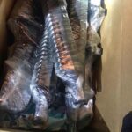 Habrá 27 millones de dosis para menores; vacunación arranca en octubre