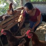 Se aplaza reunión de comisión bicameral con Gabinete de Seguridad, enmedio de escándalo