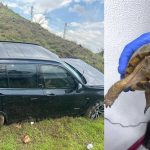 Suma Michoacán siete medallas más en Nacionales Conade 2023