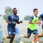 Ayuntamiento sembrará 10 mil árboles y palmeras con programa ‘Aire Joven’