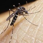 Suegro de Ricciardo encabeza la nueva campaña anti Checo Pérez