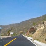 Renato Paiva tras eliminación de Toluca en Concachampions: “Nunca me pasó por la cabeza que esto podría pasar”