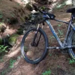 Putin conversa por teléfono con papa León XIV y acusa a Ucrania de provocar una escalada