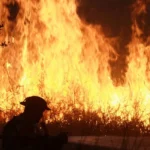 Se oponen comerciantes de la Central de Abasto a construcción de barda perimetral