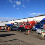 Indonesia: Caen 44 sospechosos de provocar incendios forestales