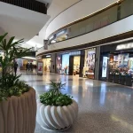 El Papa condena el antisemitismo y promete combatirlo