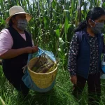 El Papa condena el antisemitismo y promete combatirlo